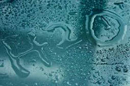 acqua