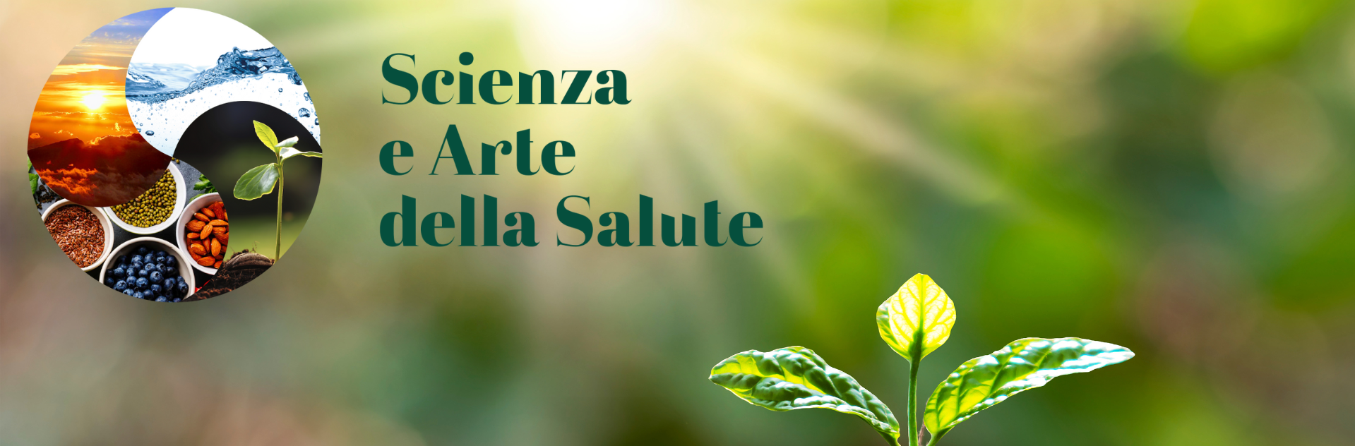 Scienza e Arte della Salute